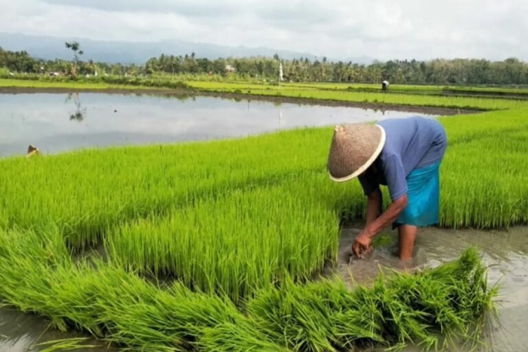 RUU Reforma Agraria Dinilai Sangat Penting Untuk Melindungi Hak Petani