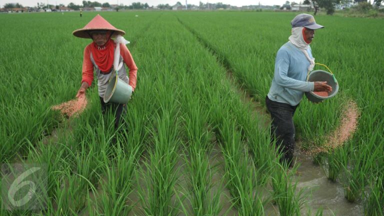 Indonesia Siap Jadi Lumbung Pangan Dunia: Komitmen dan Capaian Menuju Ketahanan Global