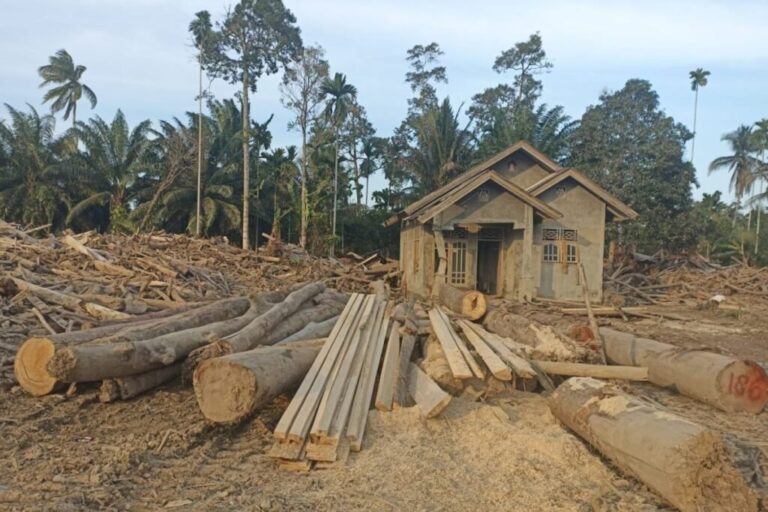 Kayu Hanyutan Pascabanjir Sumatra Dimanfaatkan, Pemulihan Infrastruktur Dipercepat