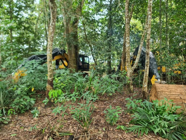 Satgas PKH Tegaskan Kehadiran Negara Jaga Kedaulatan Kawasan Hutan