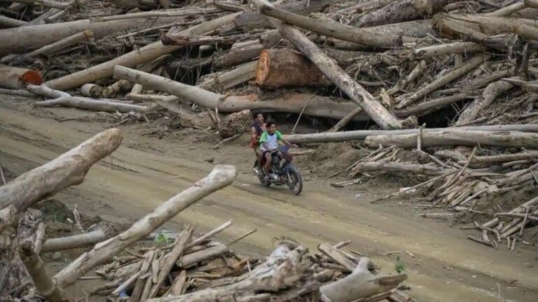 Pemerintah Terus Bersihkan dan Salurkan Kayu Gelondongan untuk Pemulihan Akses dan Permukiman