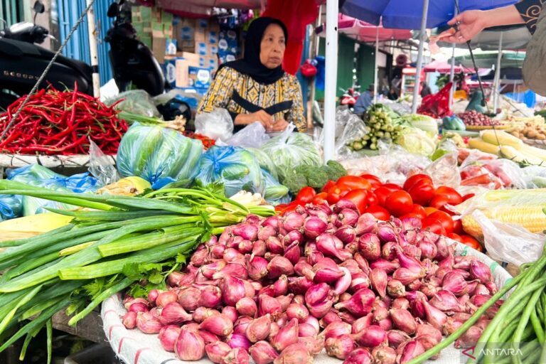 Harga Bahan Pokok Terkelola Baik, Ramadan Kian Tenang