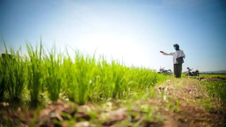 Pemerintah Perkuat Perlindungan Sawah dan Reforma Agraria untuk Jaga Swasembada Pangan