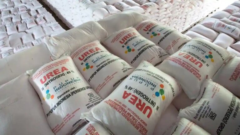 Swasembada Pangan dan Pupuk Terjangkau Jadi Prioritas Pemerintah