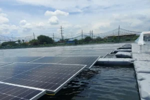 Swasembada Energi PLTS 100 GW dan Keberanian Pemerintah