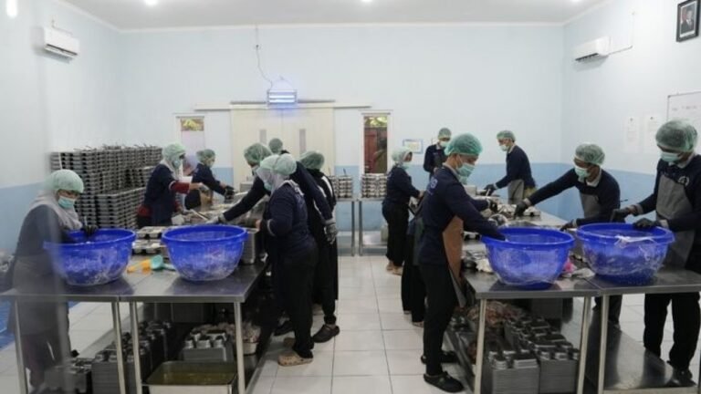 Pemerintah Optimalkan MBG melalui Pengawasan dan Evaluasi
