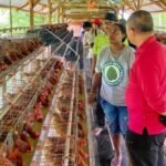 Tokoh Adat Papua Apresiasi Bantuan Pemerintah untuk Ekonomi Warga