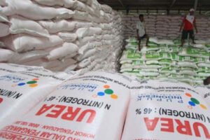 Global Bergejolak, Pupuk Subsidi Indonesia Tetap Terjaga