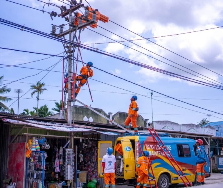 Listrik Desa Papua Jadi Bukti Nyata Komitmen Pembangunan Hingga Pelosok Negeri
