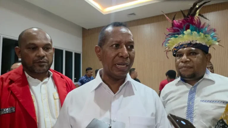 Mitigasi PHK di Papua Lewat Akselerasi Infrastruktur dan Hilirisasi Industri
