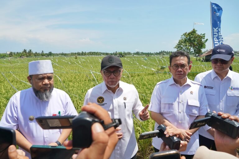 Sinergi Pusat, Daerah, dan Petani Wujudkan Ketahanan Pangan Nasional