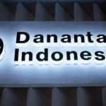 Danantara: Membangun Kepercayaan lewat Pengawasan, Regulasi, dan Restrukturisasi