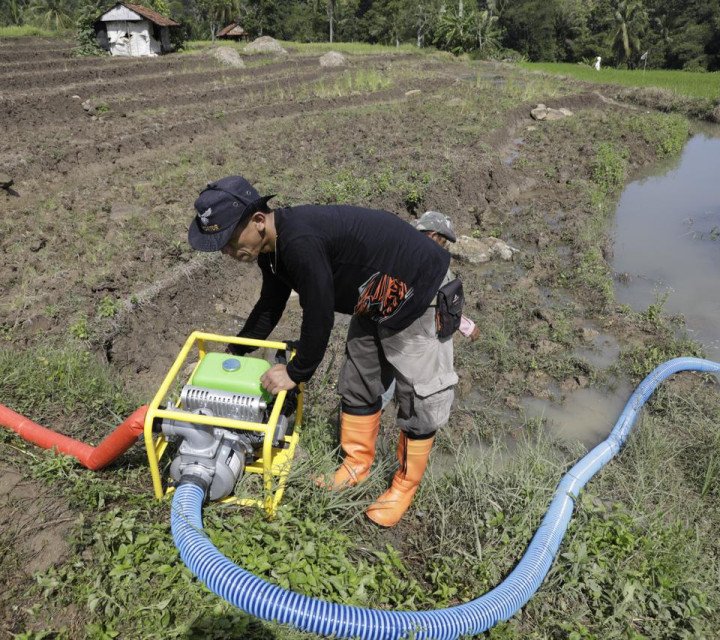 Ketahanan Pangan Diperkuat Lewat Pompanisasi dan Kerja Sama Antardaerah