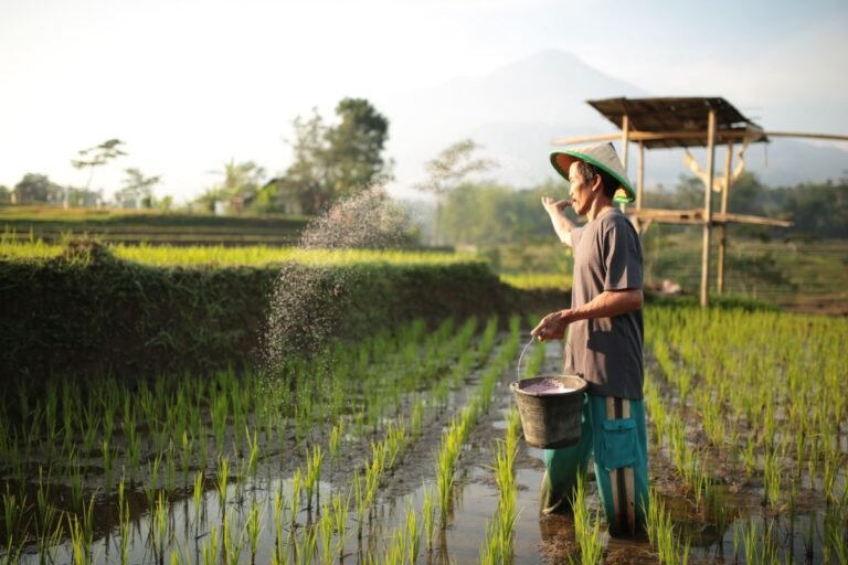 Pemerintah Perkuat Harga Gabah dan Pupuk Subsidi demi Kesejahteraan Petani