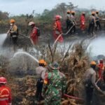 Prabowo Dorong Kolaborasi Lintas Sektor untuk Tekan Risiko Karhutla