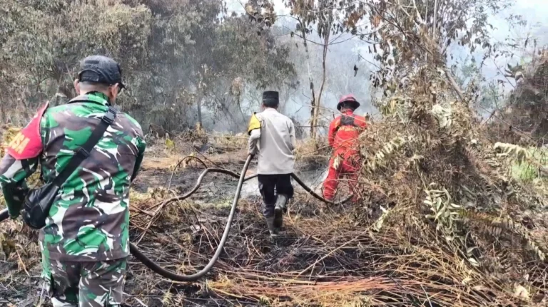 Kewaspadaan Ditingkatkan, Pemerintah Antisipasi Karhutla saat El Nino Menguat