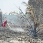 Negara Hadir Melawan Karhutla Lewat Sanksi dan Pidana Tegas