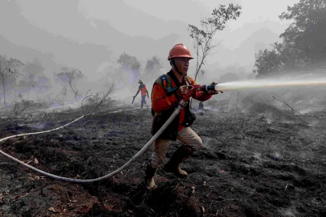 Negara Hadir Mencegah Karhutla dan Melindungi Warga