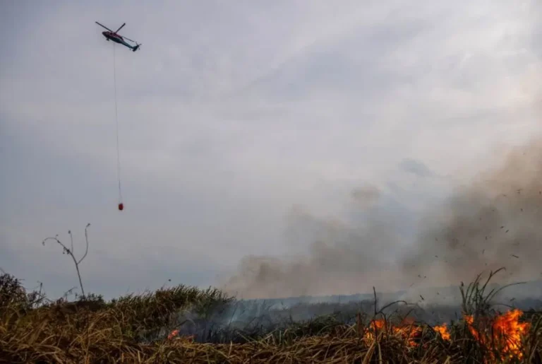 Pemerintah Perkuat Mitigasi Karhutla di Sumatra, Kalimantan, Hingga Jawa