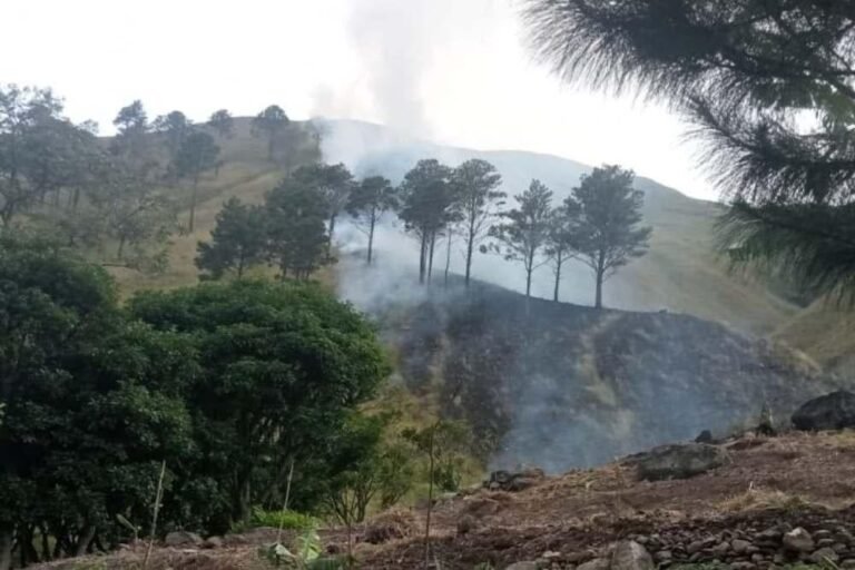 Atasi Karhutla, Pemerintah Perkuat Sekat Kanal dan Pendinginan Lahan