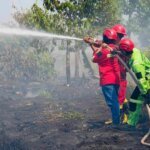 Penegakan Hukum Karhutla Diperkuat, Korporasi Nakal Disanksi Tegas