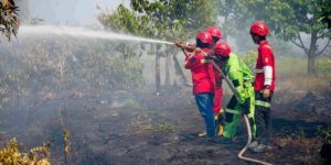Penegakan Hukum Karhutla Diperkuat, Korporasi Nakal Disanksi Tegas