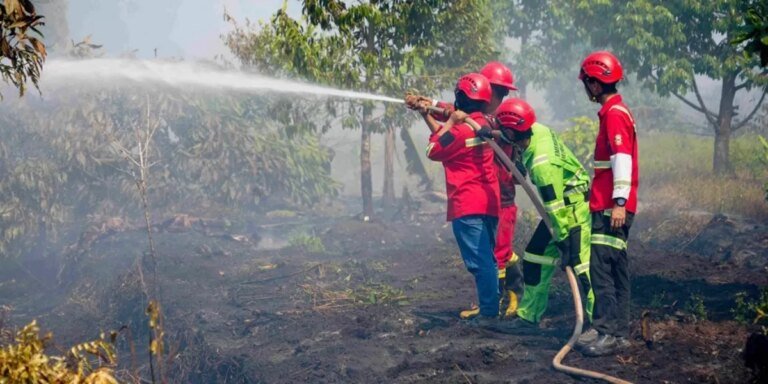 Penegakan Hukum Karhutla Diperkuat, Korporasi Nakal Disanksi Tegas