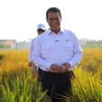 Harga Pangan Tetap Aman, Pemerintah Kawal Pasar Daerah Bencana