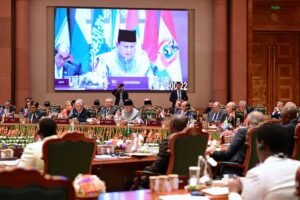 Deklarasi New Delhi Perkuat Arah BRICS, Prabowo Tegaskan Peran Strategis Indonesia