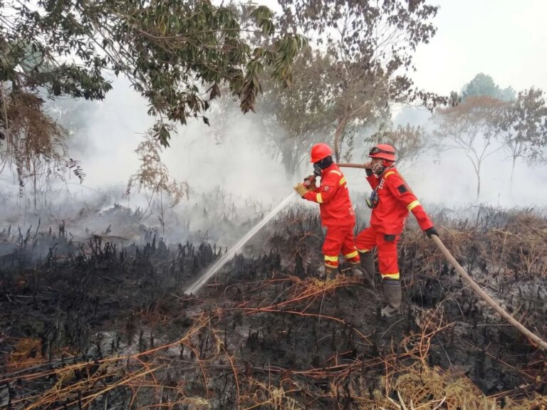 Pemerintah Menindak Perusahaan Penyebab Karhutla: Melindungi Warga, Hutan, dan Lingkungan