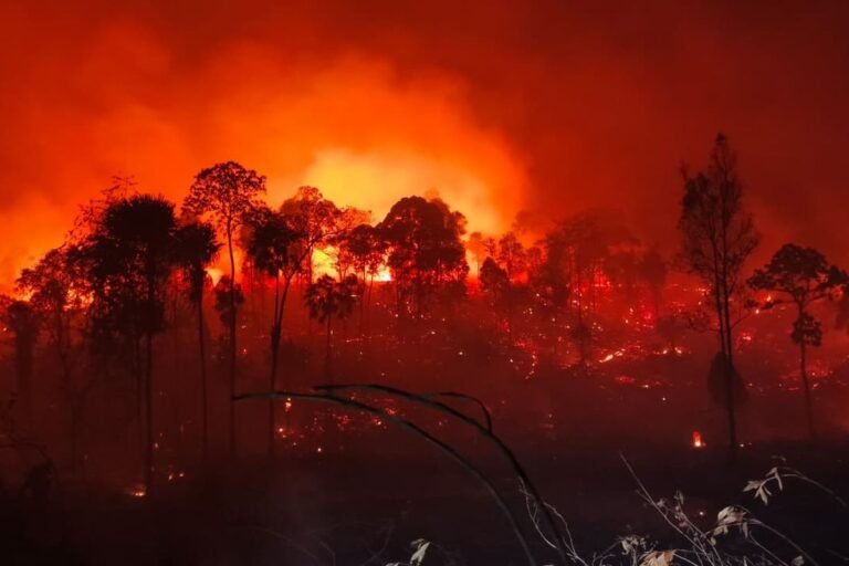 Memutus Karhutla dari Hulu dengan Data dan Teknologi