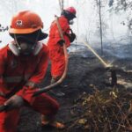 Respons Cepat dan Terpadu Atasi Karhutla di Sejumlah Wilayah