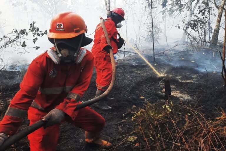 Pemerintah Galang Kekuatan Nasional Atasi Karhutla di Sejumlah Wilayah