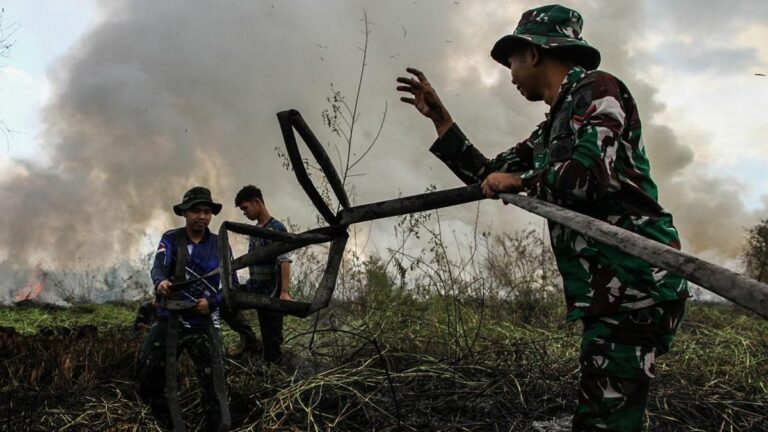 Negara Hadir: TNI, PU, BNPB, dan Masyarakat Bergerak Melawan Karhutla