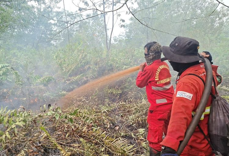 Penanganan Karhutla Diperkuat di Riau, Sumsel, Jambi, dan Kalimantan