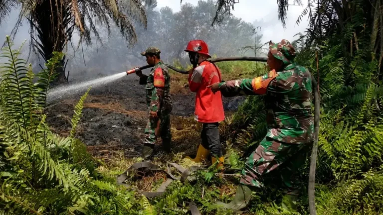 Negara Bergerak, TNI dan Kementerian PU Perkuat Penanganan Karhutla