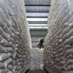 Cadangan Beras Aman, Pemerintah Siapkan Antisipasi El Nino