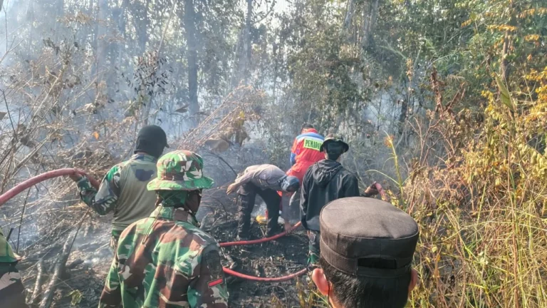 Dari Karhutla hingga Bencana Alam, TNI Perkuat Pengabdian untuk Masyarakat
