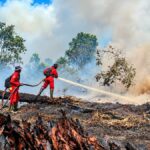 Penanganan Karhutla Terpadu Lindungi Warga, Hutan, dan Kualitas Udara