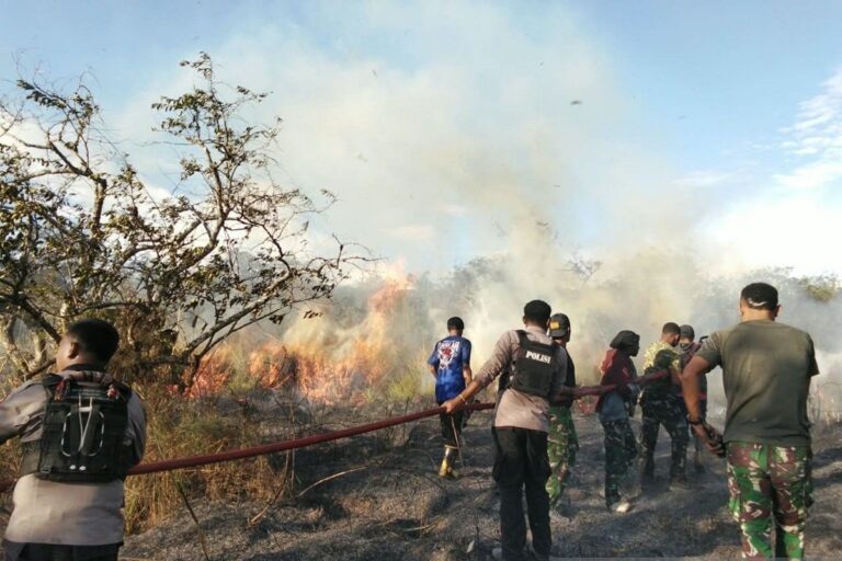 Presiden Intruksikan 70 Ribu Personel Gabungan Percepat Pemadaman Karhutla