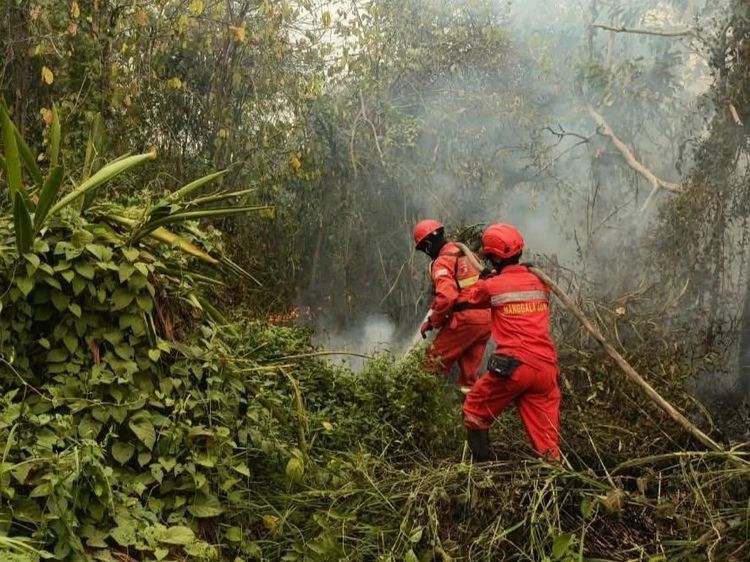 Penanganan Karhutla Tetap Tegas sebelum Api Kembali Meluas