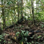 Penindakan Komandan OPM di Maybrat Wujud Pemerintah Utamakan Keselamatan Masyarakat Papua